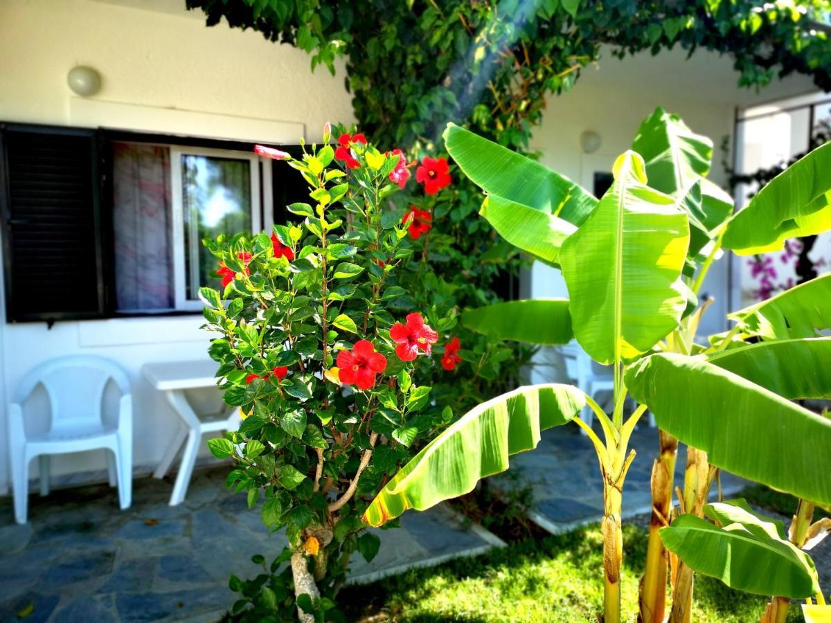 Ilios And Irene Aparthotel Mastichari  Exterior foto